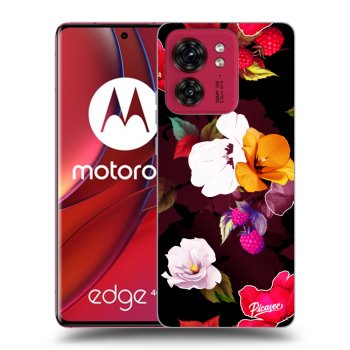 Tok az alábbi mobiltelefonokra Motorola Edge 40 - Flowers and Berries