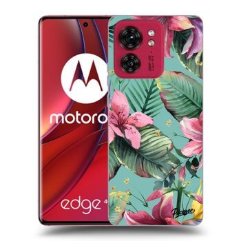 Tok az alábbi mobiltelefonokra Motorola Edge 40 - Hawaii