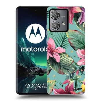 Tok az alábbi mobiltelefonokra Motorola Edge 40 Neo - Hawaii