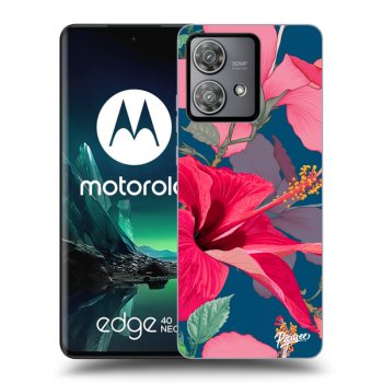 Tok az alábbi mobiltelefonokra Motorola Edge 40 Neo - Hibiscus