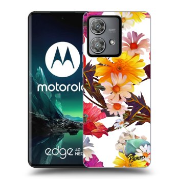 Tok az alábbi mobiltelefonokra Motorola Edge 40 Neo - Meadow
