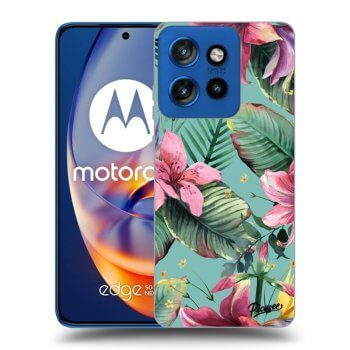 Tok az alábbi mobiltelefonokra Motorola Edge 50 Neo - Hawaii
