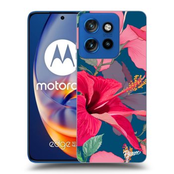 Tok az alábbi mobiltelefonokra Motorola Edge 50 Neo - Hibiscus