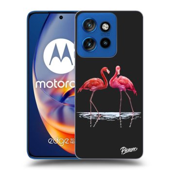 Tok az alábbi mobiltelefonokra Motorola Edge 50 Neo - Flamingos couple