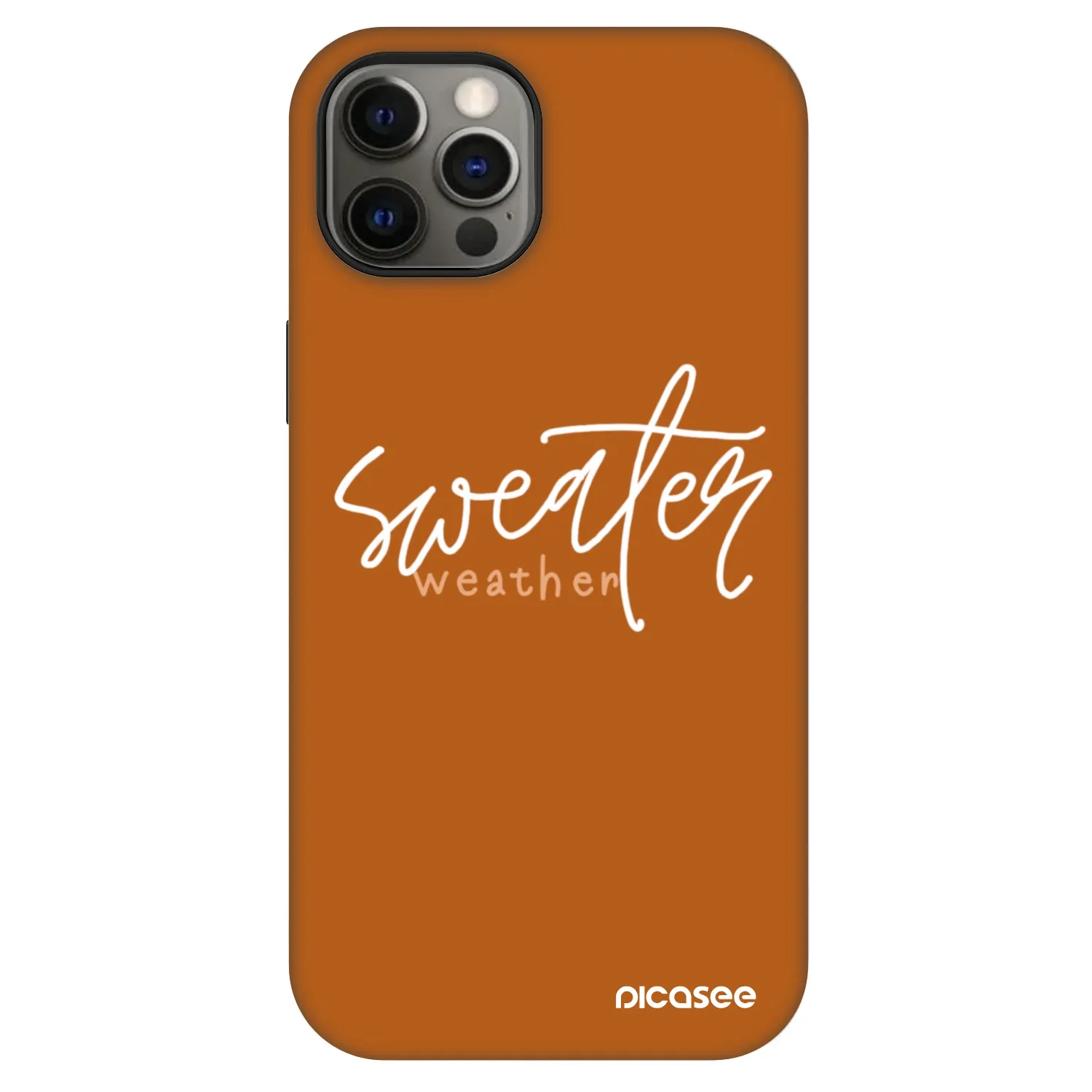 Picasee Fashion Case MagSafe Apple iPhone 12 - Sweater weather