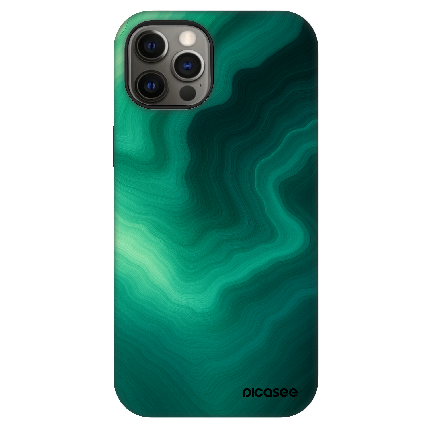 Picasee Fashion Case MagSafe Apple iPhone 12 - Malachite