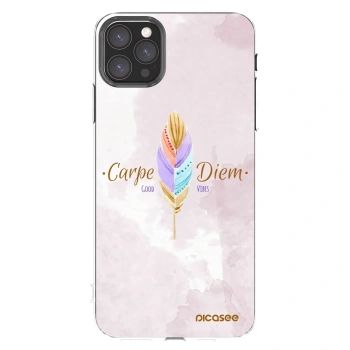 Picasee átlátszó szilikon tok az alábbi mobiltelefonokra Apple iPhone 11 Pro Max - Carpe Diem