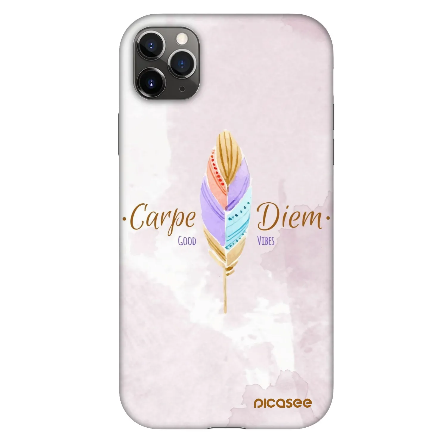 Picasee Fashion Case Apple iPhone 11 Pro Max - Carpe Diem