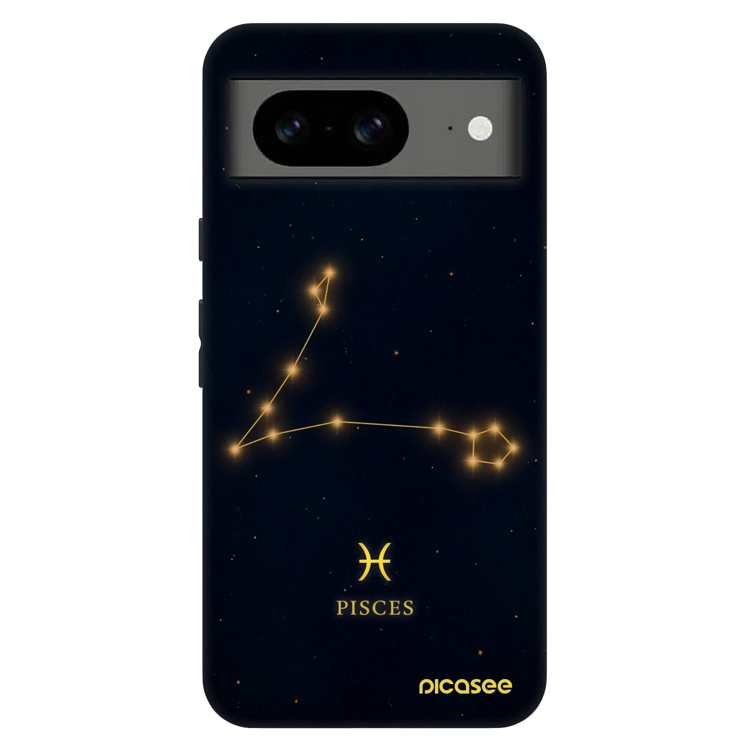 Picasee Fashion Case Google Pixel 8 Pro - PISCES