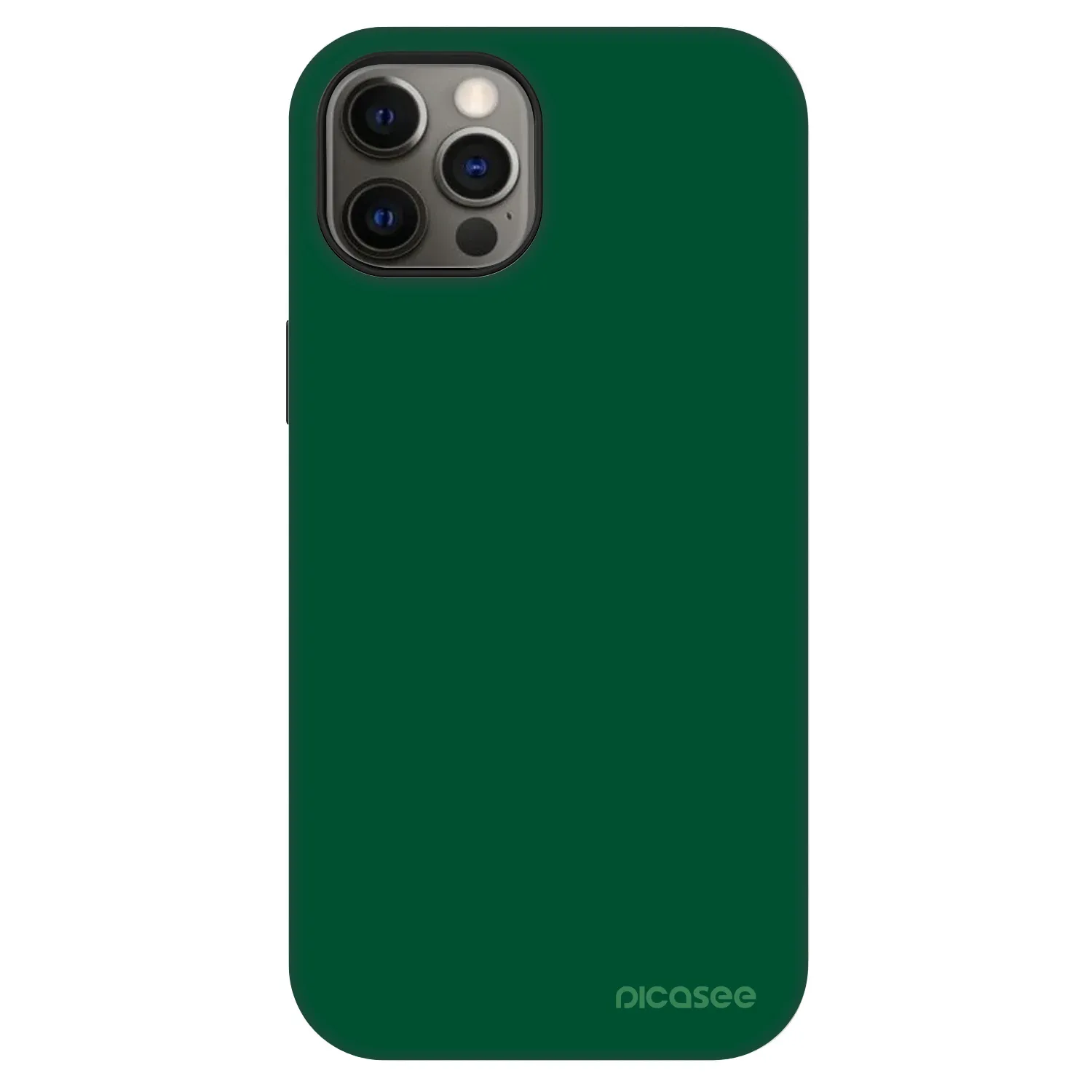 Picasee Fashion Case MagSafe Apple iPhone 12 - Green Gleam