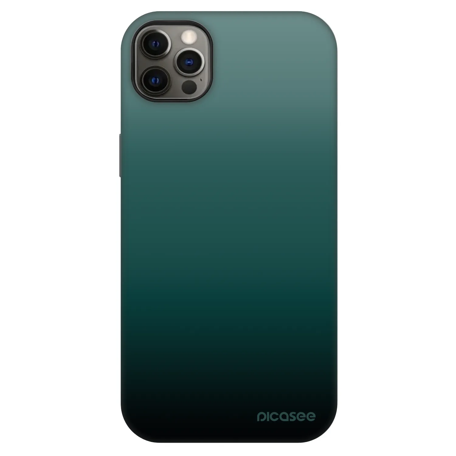 Picasee Fashion Case MagSafe Apple iPhone 12 Pro Max - Verdant Fade