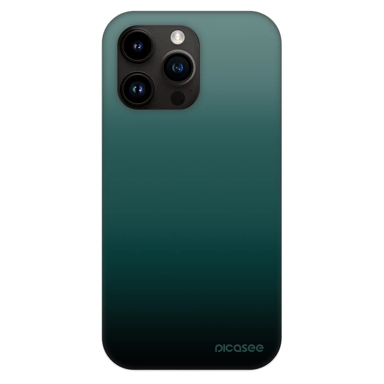 Picasee Fashion Case MagSafe Apple iPhone 13 Pro - Verdant Fade