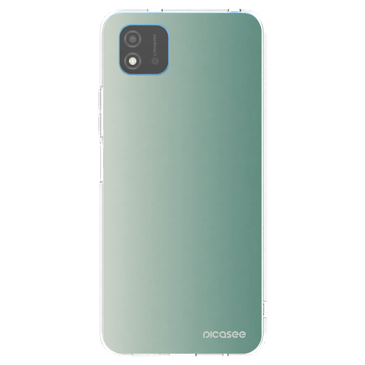 Picasee átlátszó szilikon tok az alábbi mobiltelefonokra Realme C11 (2021) - Misty Sage