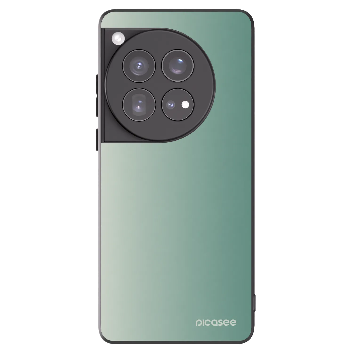 Picasee fekete szilikon tok az alábbi mobiltelefonokra OnePlus 12 5G - Misty Sage